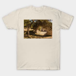 Baska Citadel Ruins, Krk Island, Croatia T-Shirt